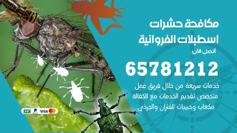مكافحة حشرات اسطبلات الفروانية 50050641 مكافحة حشرات وقوارض وصراصير