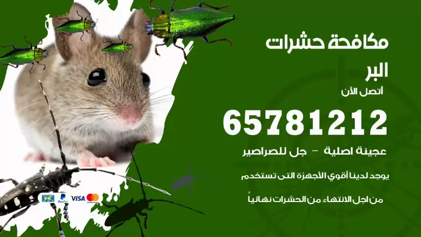 مكافحة حشرات البر 50050641 مكافحة حشرات وقوارض وصراصير