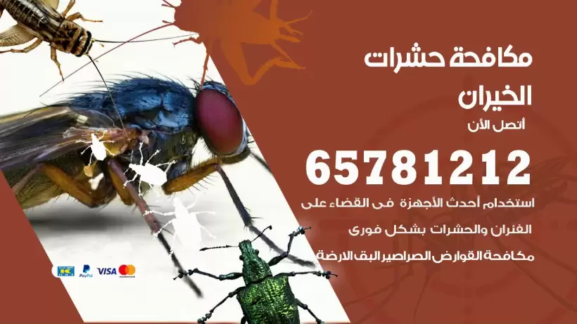 مكافحة حشرات الخيران 50050641 مكافحة حشرات وقوارض وصراصير