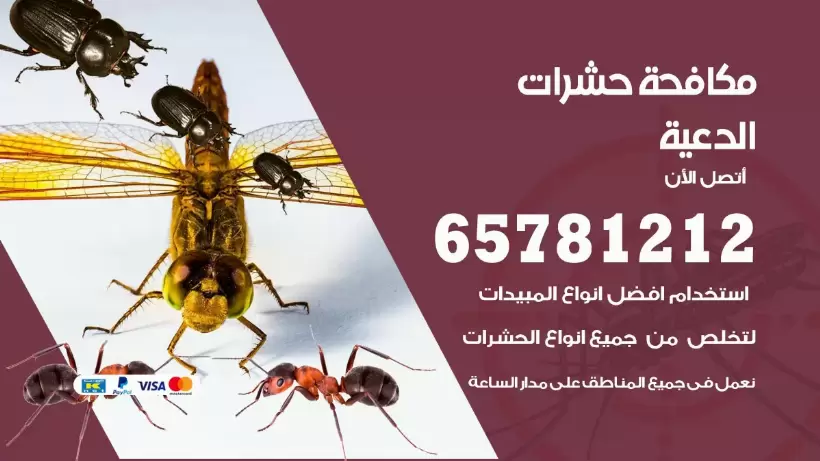مكافحة حشرات الدعية 50050641 مكافحة حشرات وقوارض وصراصير