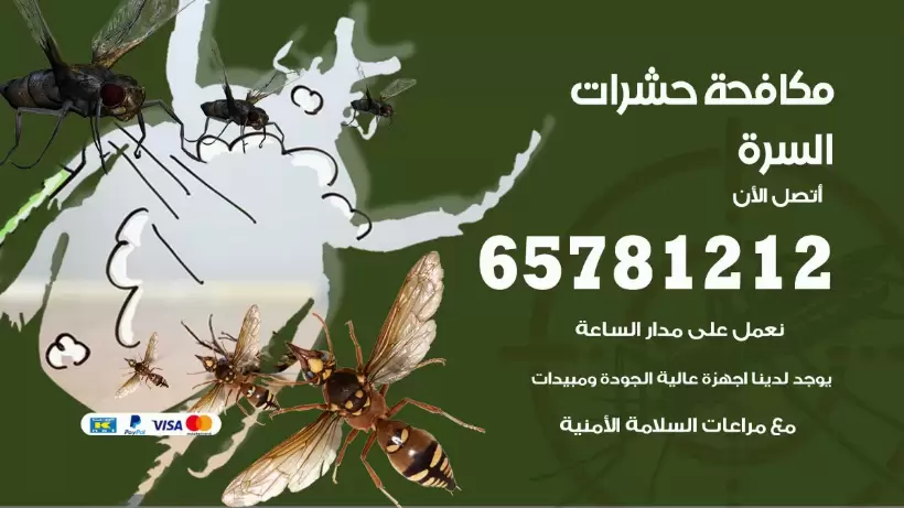 مكافحة حشرات السرة 50050641 مكافحة حشرات وقوارض وصراصير