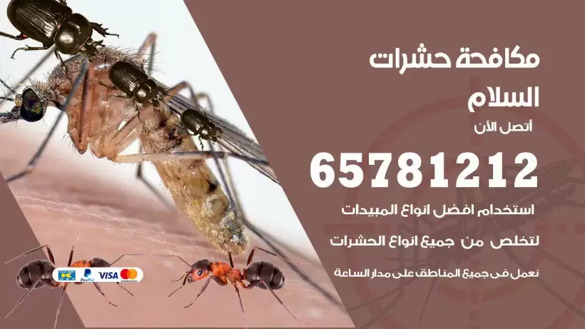 مكافحة حشرات السلام 50050641 مكافحة حشرات وقوارض وصراصير
