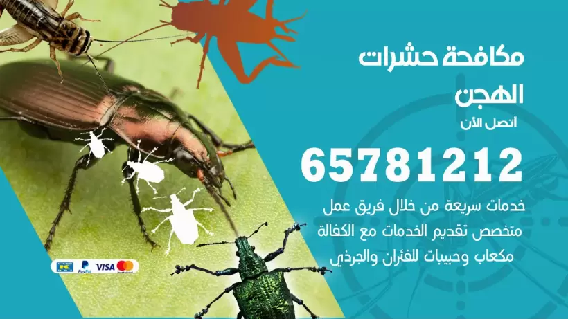 مكافحة حشرات الهجن 50050641 مكافحة حشرات وقوارض وصراصير