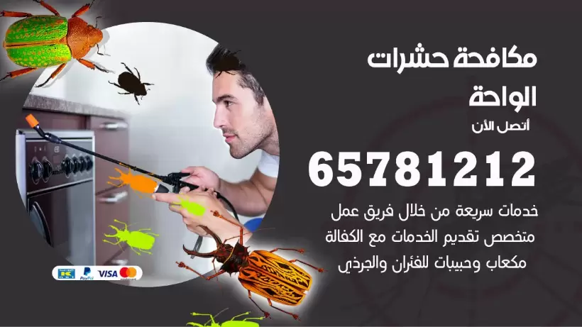 مكافحة حشرات الواحة 50050641 مكافحة حشرات وقوارض وصراصير