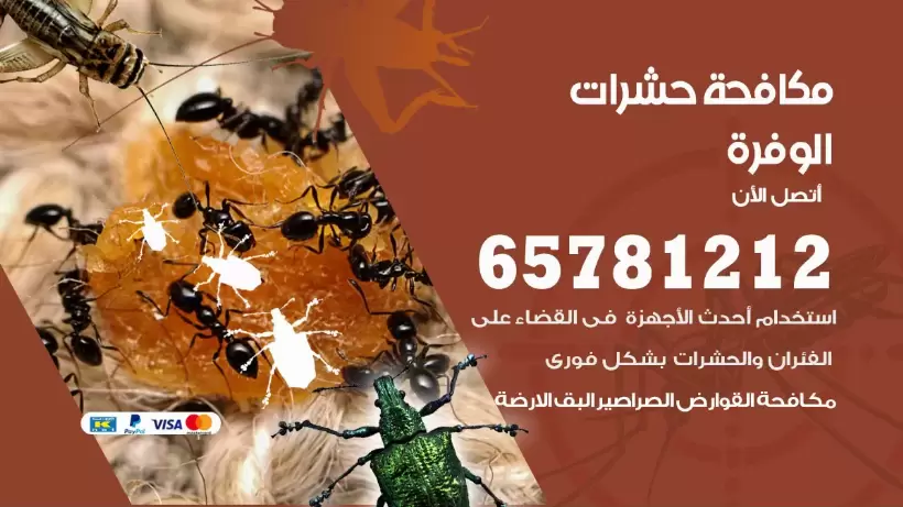 مكافحة حشرات الوفرة 50050641 مكافحة حشرات وقوارض وصراصير