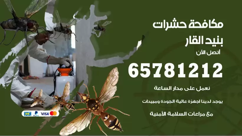 مكافحة حشرات بنيد القار 50050641 مكافحة حشرات وقوارض وصراصير