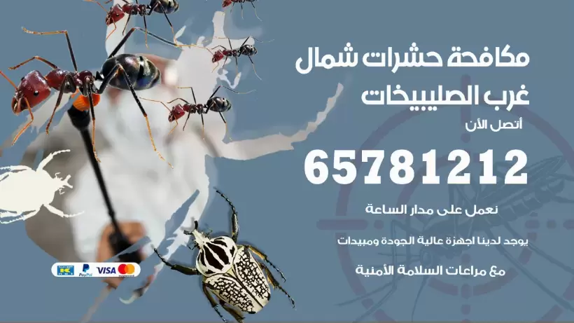 مكافحة حشرات شمال غرب الصليبيخات 50050641 مكافحة حشرات وقوارض وصراصير
