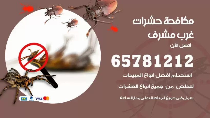 مكافحة حشرات غرب مشرف 50050641 مكافحة حشرات وقوارض وصراصير