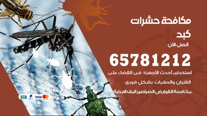 مكافحة حشرات كبد 50050641 مكافحة حشرات وقوارض وصراصير
