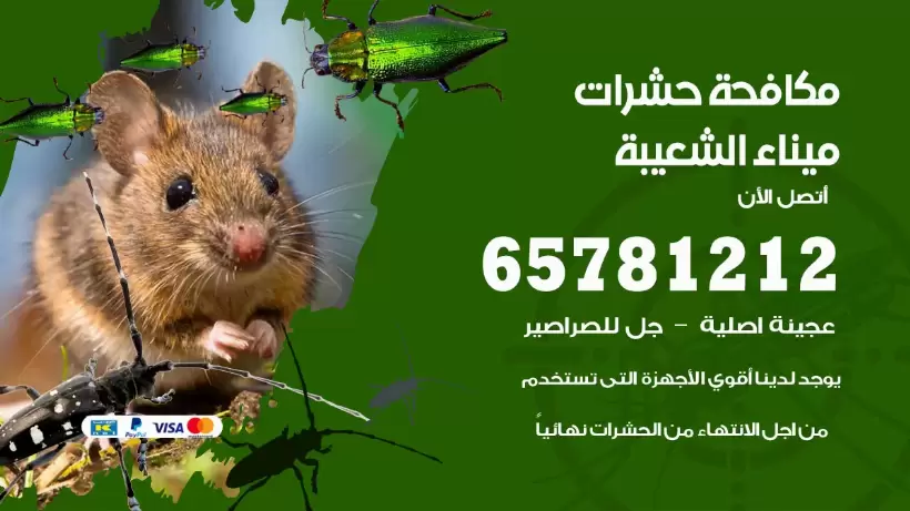 مكافحة حشرات ميناء الشعيبة 50050641 مكافحة حشرات وقوارض وصراصير