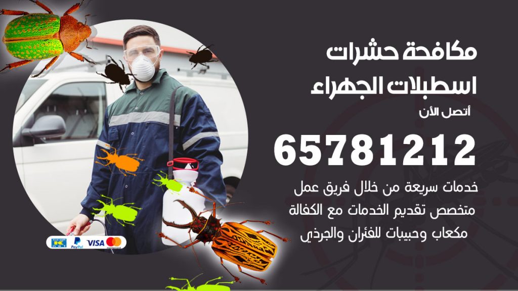 مكافحة حشرات اسطبلات الجهراء