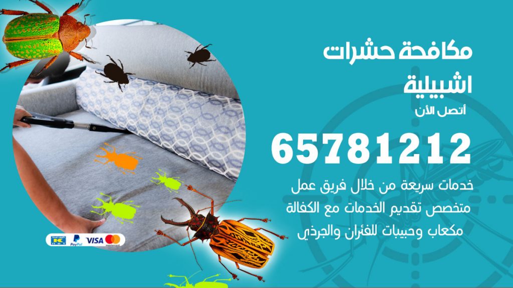 مكافحة حشرات اشبيلية