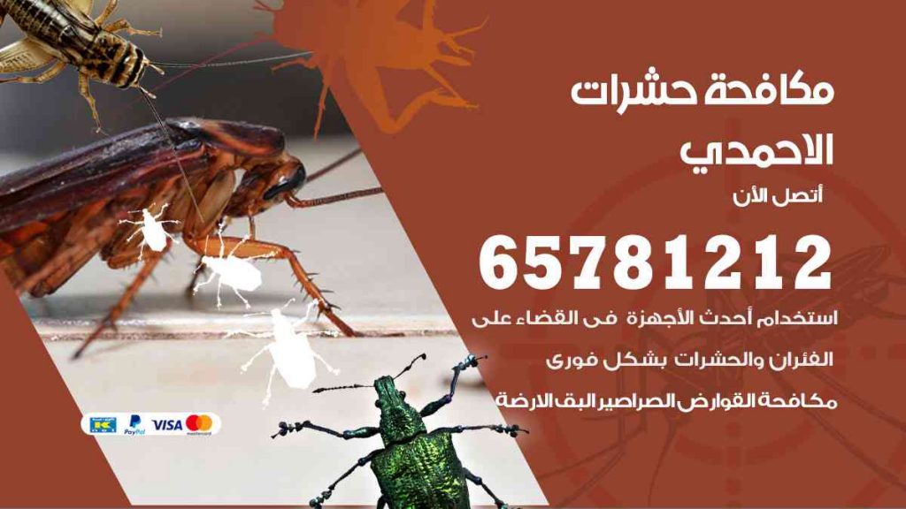 مكافحة حشرات الاحمدي
