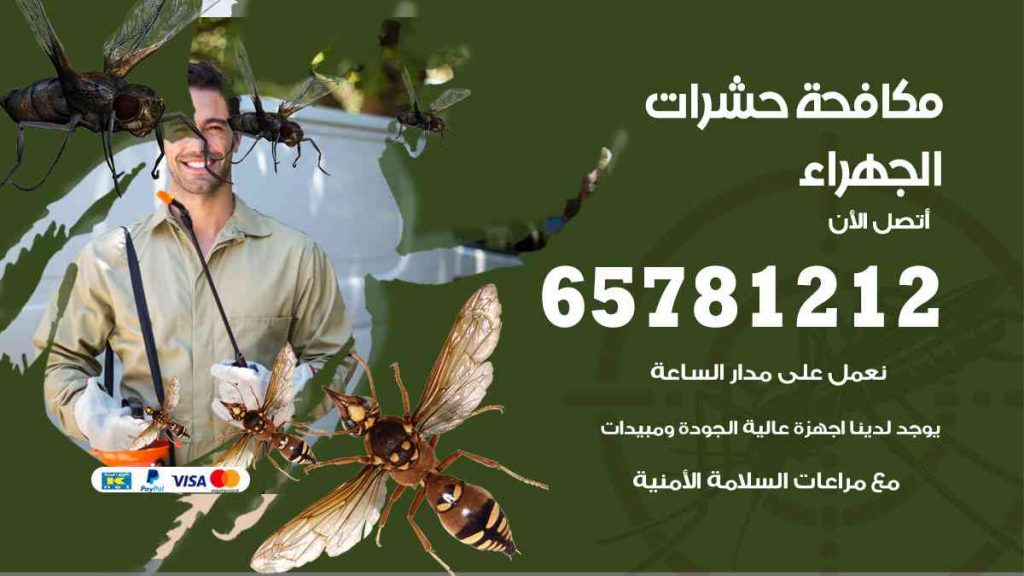 مكافحة حشرات الجهراء