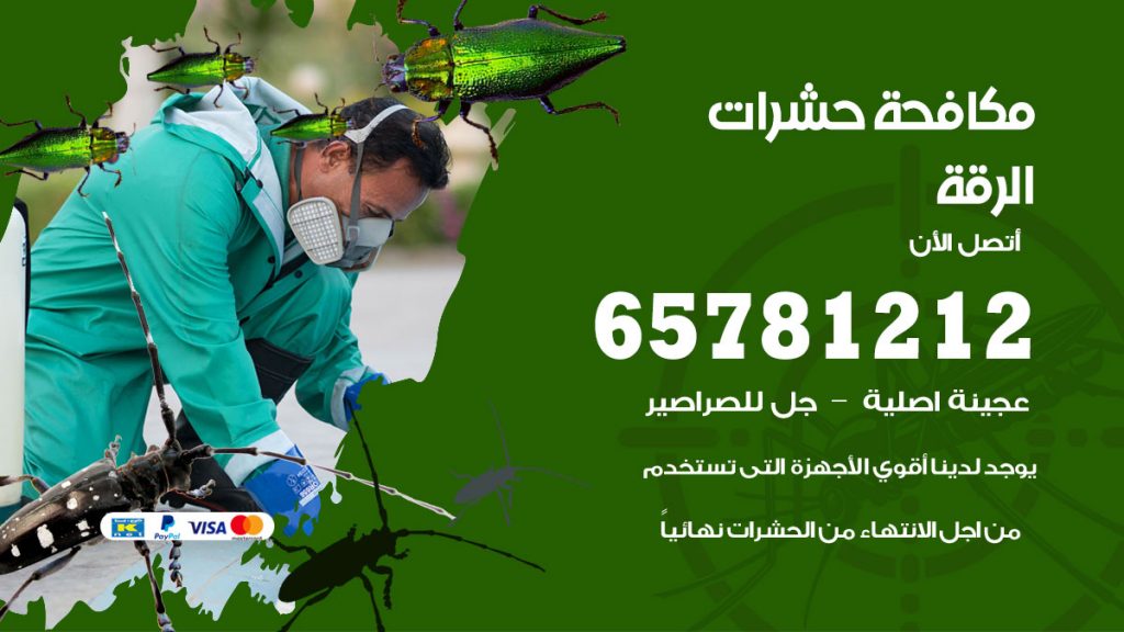مكافحة حشرات الرقة