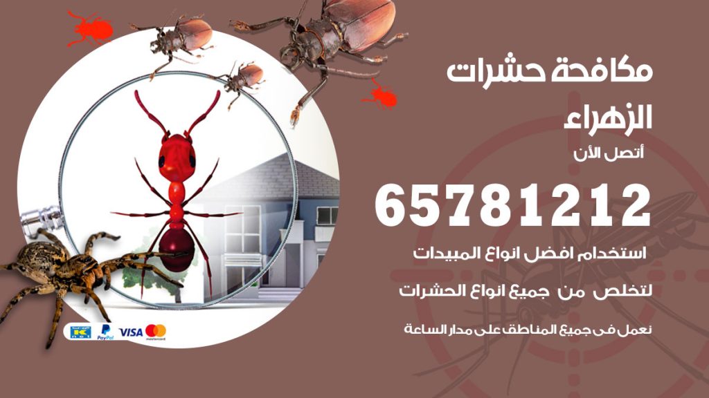 مكافحة حشرات الزهراء