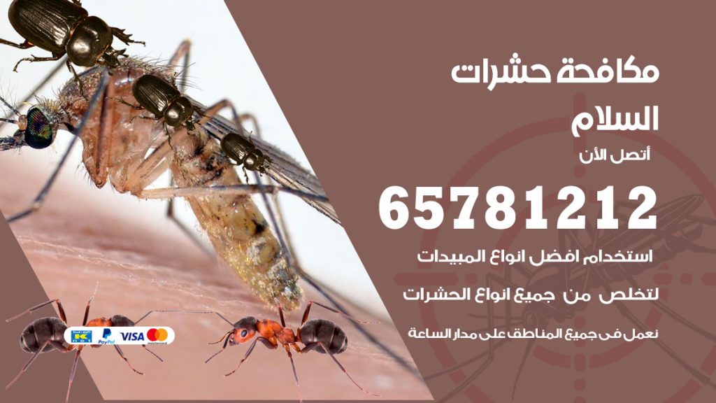 مكافحة حشرات السلام