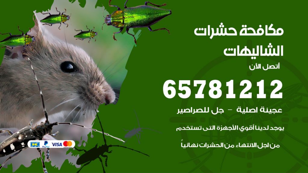 مكافحة حشرات الشاليهات