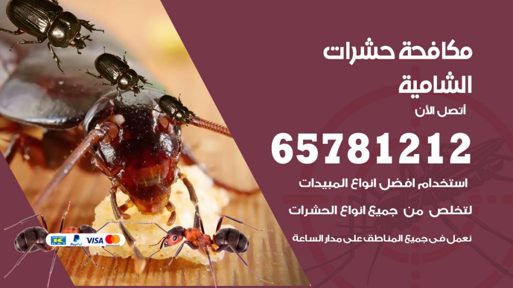 مكافحة حشرات الشامية