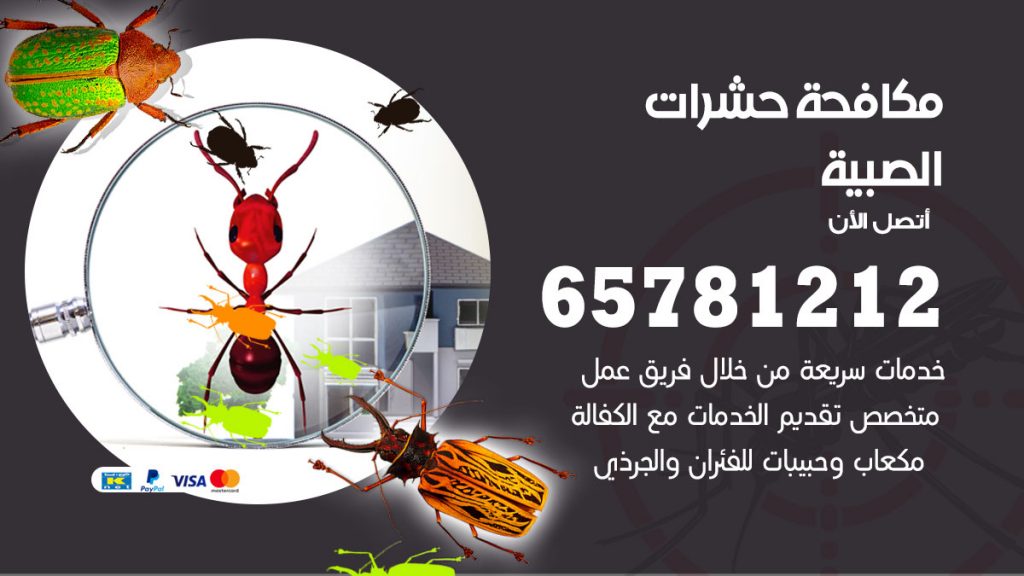 مكافحة حشرات الصبية