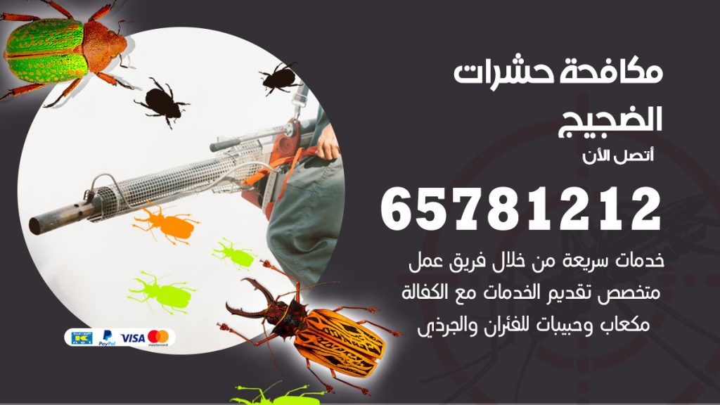 مكافحة حشرات الضجيج