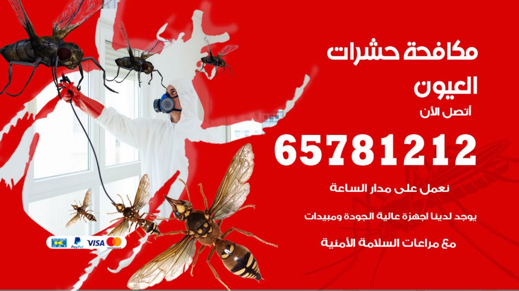 مكافحة حشرات العيون