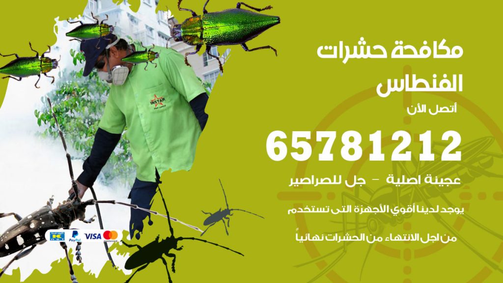 مكافحة حشرات الفنطاس