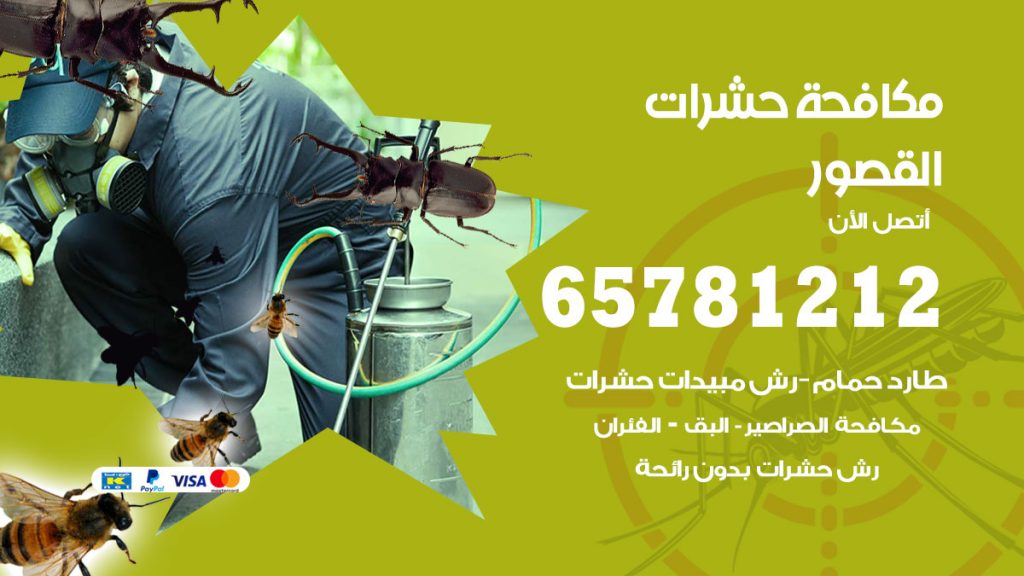 مكافحة حشرات القصور