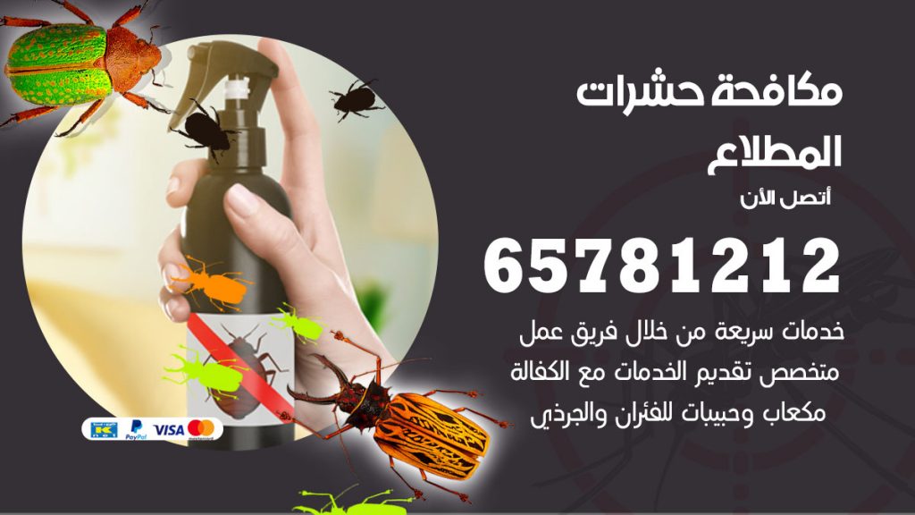 مكافحة حشرات المطلاع