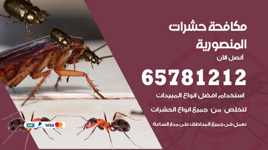 مكافحة حشرات المنصورية