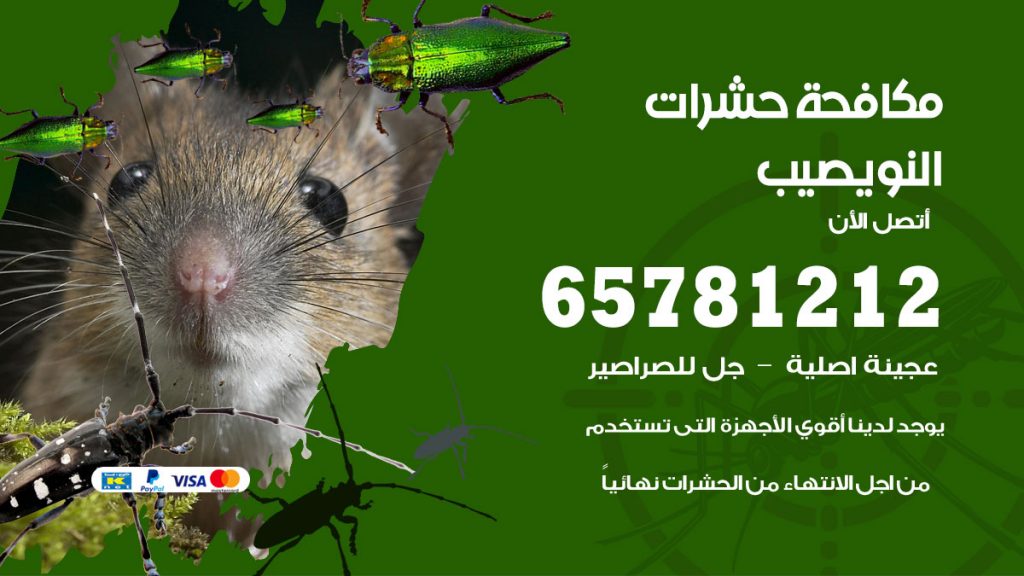 مكافحة حشرات النويصيب