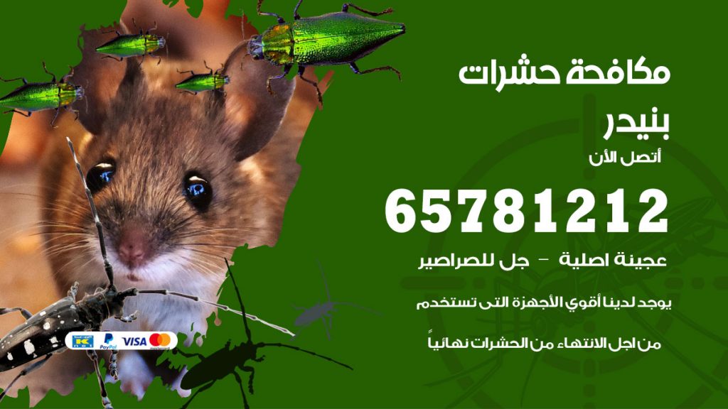 مكافحة حشرات بنيدر