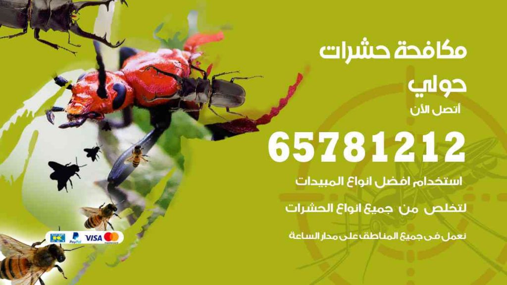 مكافحة حشرات حولي