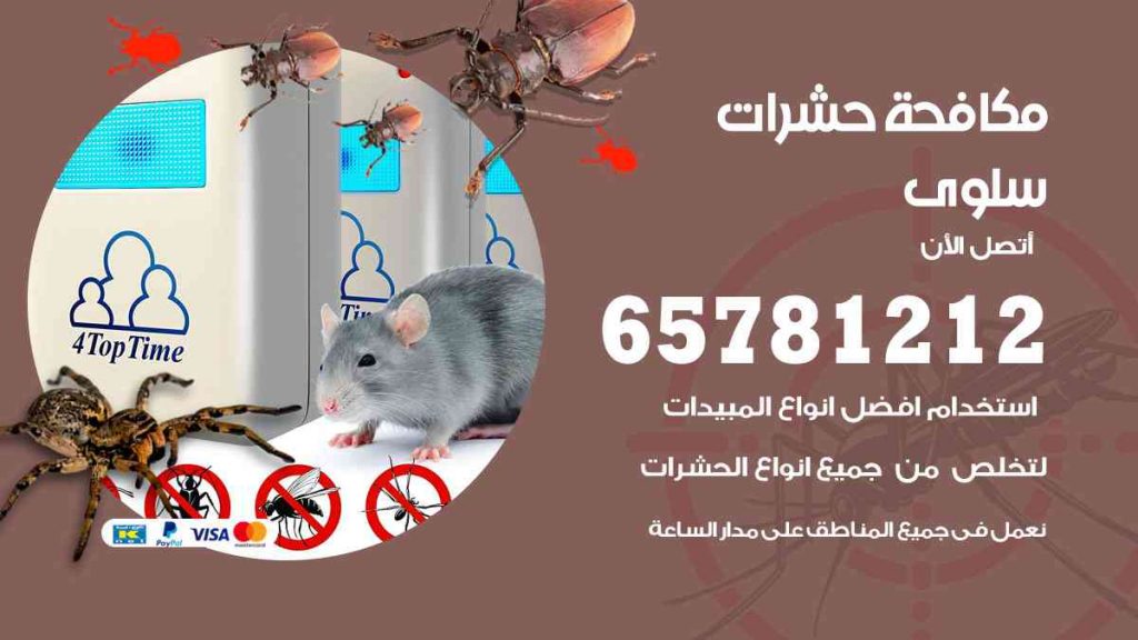 مكافحة حشرات سلوى