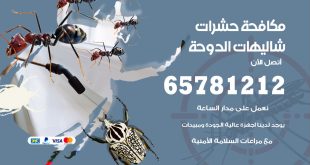 مكافحة حشرات شاليهات الدوحة