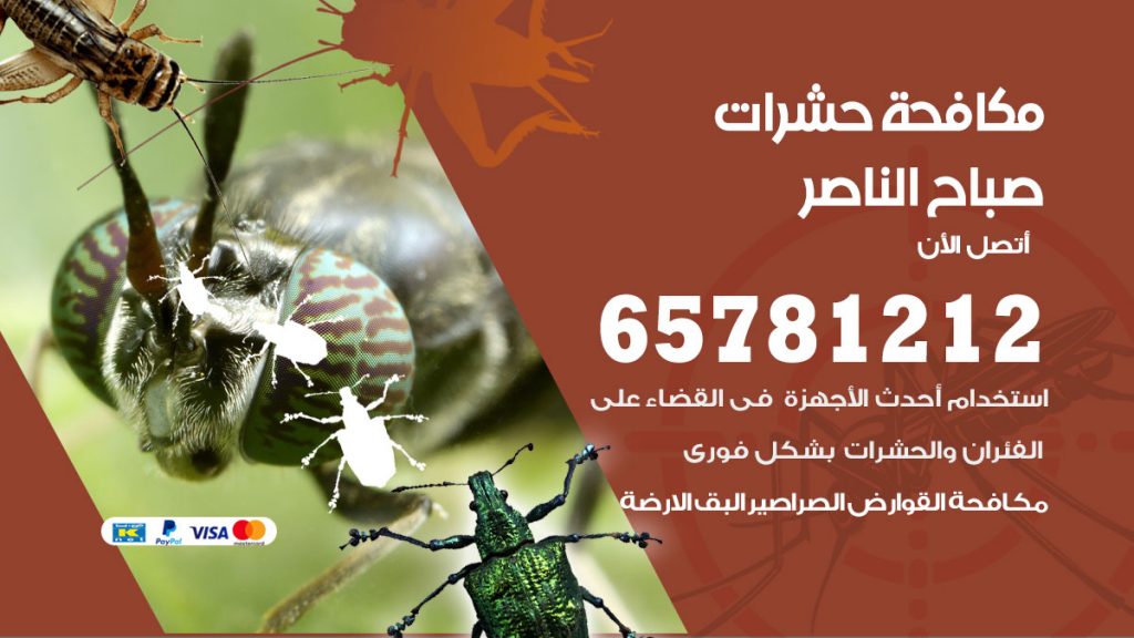 مكافحة حشرات صباح الناصر