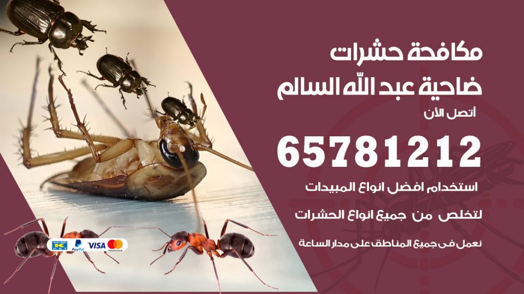 مكافحة حشرات ضاحية عبدالله السالم