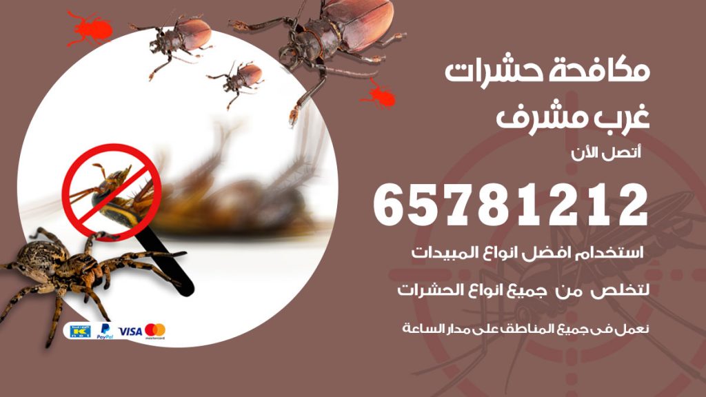 مكافحة حشرات غرب مشرف