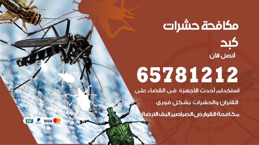 مكافحة حشرات كبد