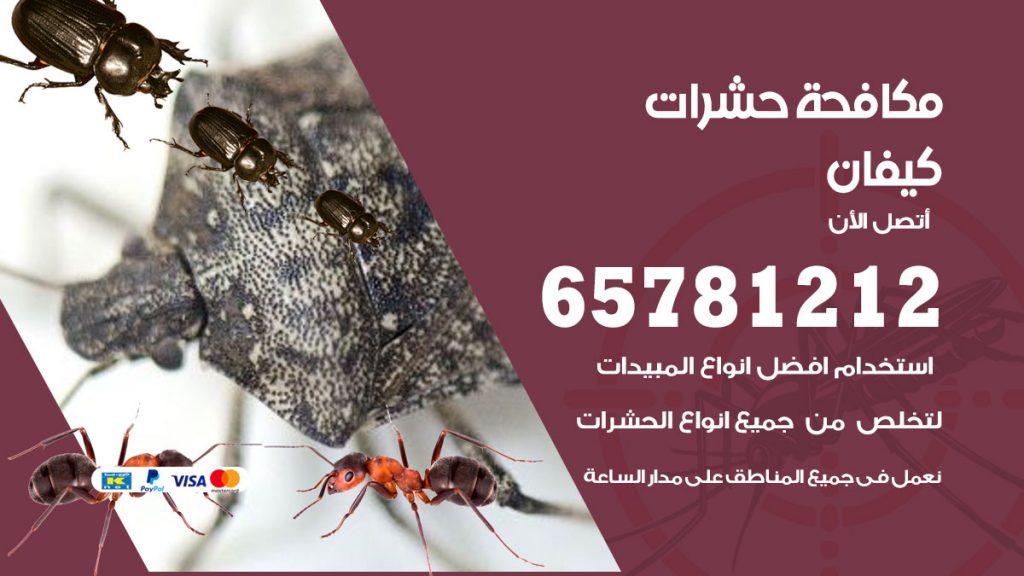 مكافحة حشرات كيفان