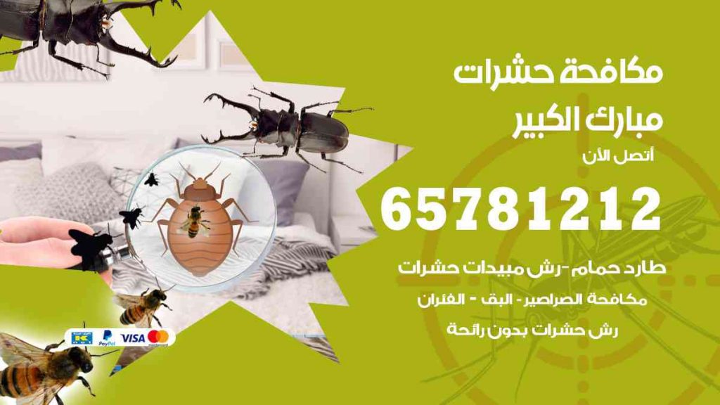 مكافحة حشرات مبارك الكبير