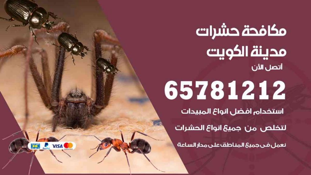 مكافحة حشرات المنطقة العاشرة