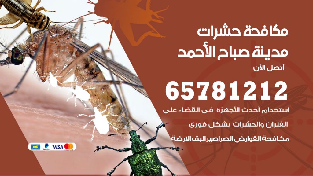 مكافحة حشرات مدينة صباح الأحمد