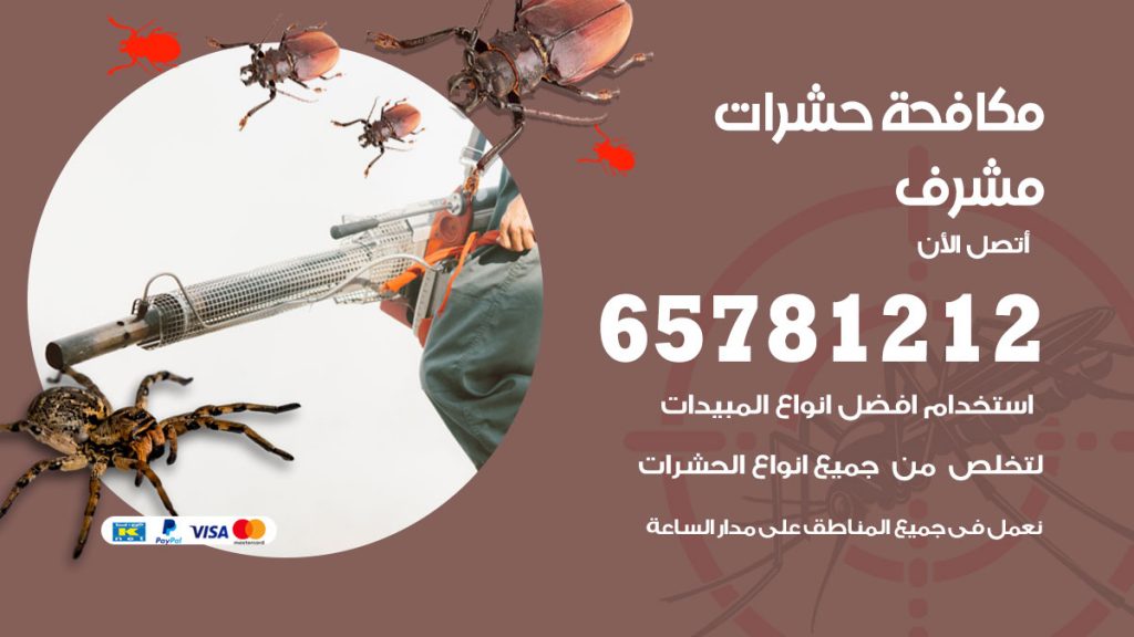 مكافحة حشرات مشرف