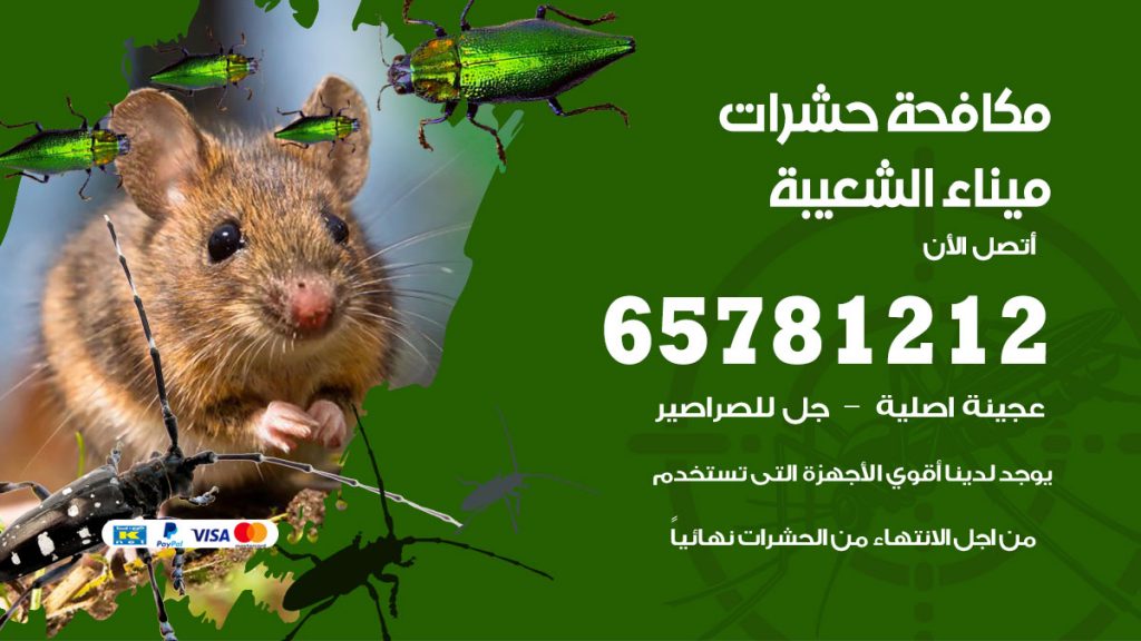 مكافحة حشرات ميناء الشعيبة