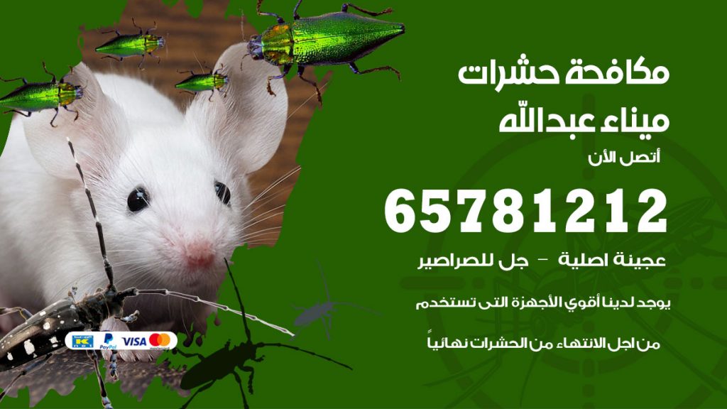 مكافحة حشرات ميناء عبدالله