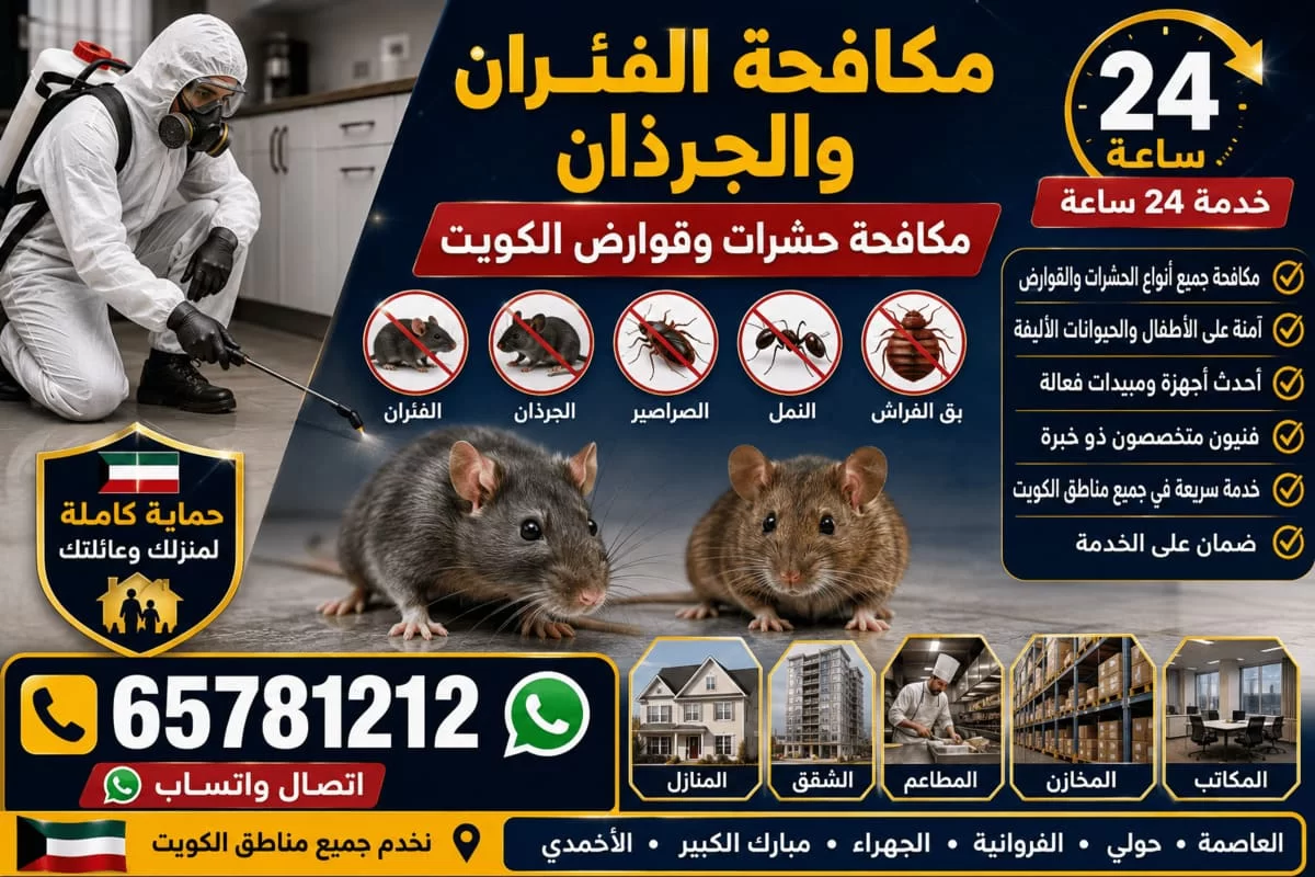 مكافحة الفئران والجرذان في الكويت — صورة مقربة لفأر وجرذ مع فني مكافحة وقائمة المنازل والشقق والمطاعم والمخازن والمكاتب ورقم 65781212